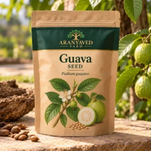 Guava Seeds