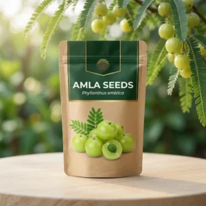Amla Seeds