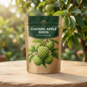 Custard Apple Seeds
