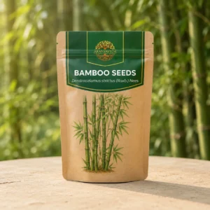 Bamboo Seeds
