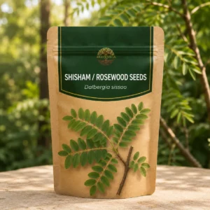 Shisham / Rosewood Seeds