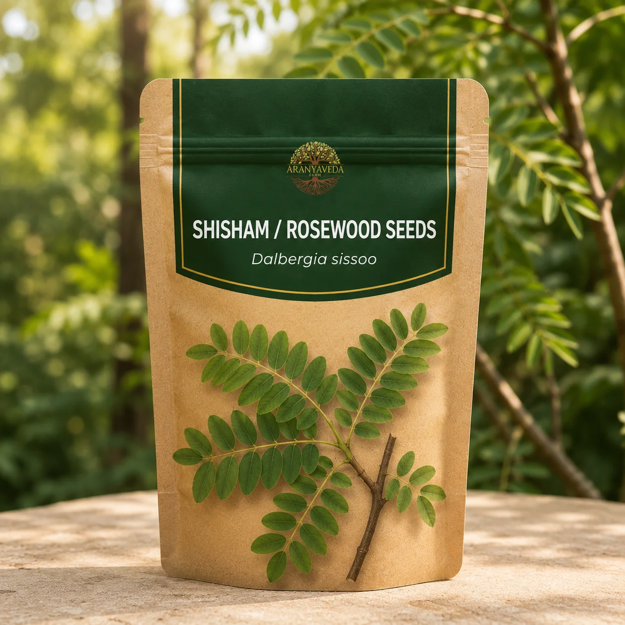 Shisham / Rosewood Seeds