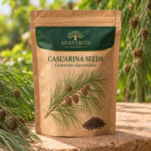 Casuarina Seeds