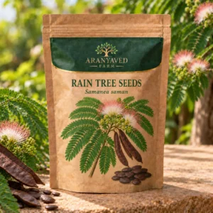 Rain Tree Seeds