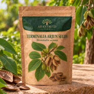 Terminalia Arjun Seeds
