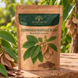 Terminalia Mantaly Seeds