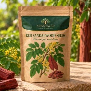 Red Sandalwood Seeds