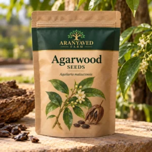 Agarwood Seeds