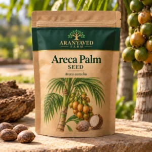 Areca Palm Seeds