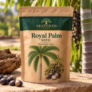 Royal Palm Seeds