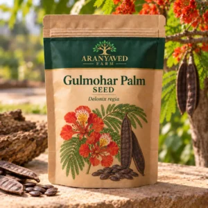 Gulmohar Seeds