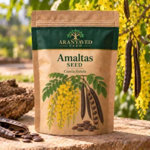 Amaltas Seeds