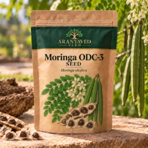 Moringa (ODC 3) Seeds